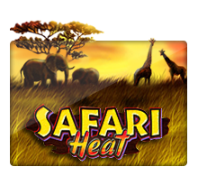 Safari Heal